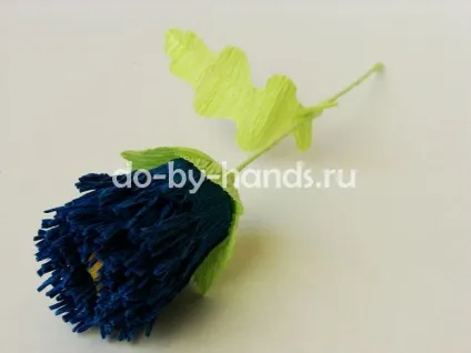 Хризантеми з гофрованого паперу своїми руками майстер клас (паперу) Хризантеми з гофрованого паперу своїми руками майстер клас
