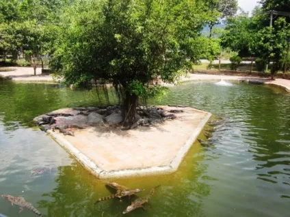 Заповідник, водоспад і гарячі джерела Янг бий в Нячанге (В'єтнам) фото, карта і відео (гарячі) Заповідник, водоспад і гарячі джерела Янг бий в Нячанге (В'єтнам) фото, карта і відео