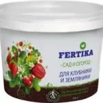 Суниця садова догляд після збору врожаю і підгодівля (обрізка) Суниця садова догляд після збору врожаю і підгодівля