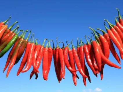 10 Продуктів подібних наркотиків і приносять задоволення (продуктів) 10 Продуктів подібних наркотиків і приносять задоволення