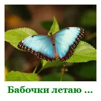 29 Самих цікавих фактів про метеликів (самих) 29 Самих цікавих фактів про метеликів