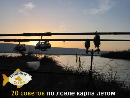 20 Рад з ловлі коропа влітку - тихий омут (рада) 20 Рад з ловлі коропа влітку - тихий омут