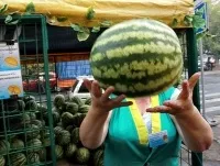 8 Рад, як вибрати стиглий і солодкий кавун, продукти і напої, кухня, аргументи і факти (як вибрати) 8 Рад, як вибрати стиглий і солодкий кавун, продукти і напої, кухня, аргументи і факти