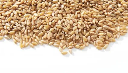 9 Кращих продуктів для зниження ваги (ваги) 9 Кращих продуктів для зниження ваги
