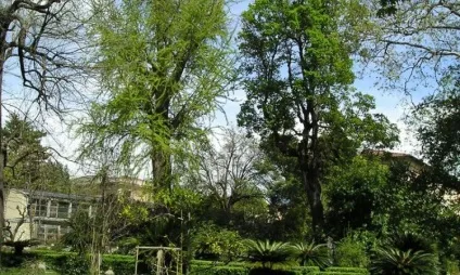 9 Кращих пам'яток Пізи з фото і описом