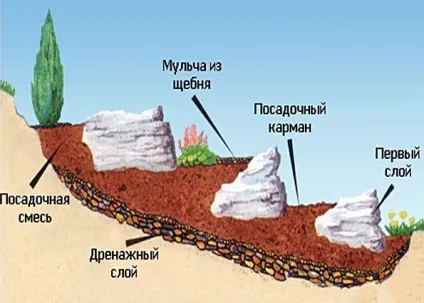 Альпійська гірка на дачі своїми руками особливості дизайну, вибір місця, розстановка каменів, (гірка) Альпійська гірка на дачі своїми руками особливості дизайну, вибір місця, розстановка каменів,