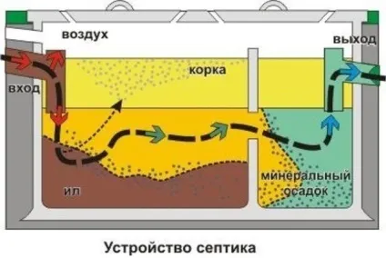 Анаеробний септик - що це і з чого їх виробляють, огляд видів, які анаеробні бактерії краще (чого) Анаеробний септик - що це і з чого їх виробляють, огляд видів, які анаеробні бактерії краще