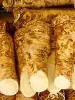 Баранячий курдюк - користь і шкода (користь) Баранячий курдюк - користь і шкода