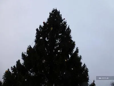А я про це ще багато чого можу сказати