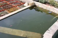 Битва з - зеленої - водою, коропи які, обладнання для ставка, плівка для водойми (декоративні водойми) Битва з - зеленої - водою, коропи які, обладнання для ставка, плівка для водойми