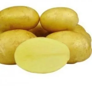 Білоруська красуня