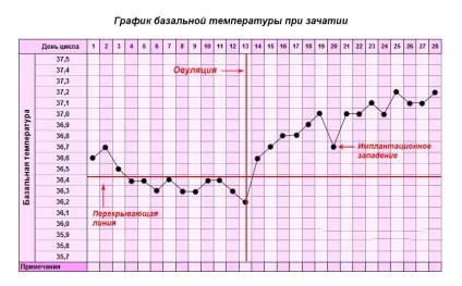 Базальна температура перед місячними - яка повинна бути, за скільки днів до місячних падає, 37, (базальна) Базальна температура перед місячними - яка повинна бути, за скільки днів до місячних падає, 37,