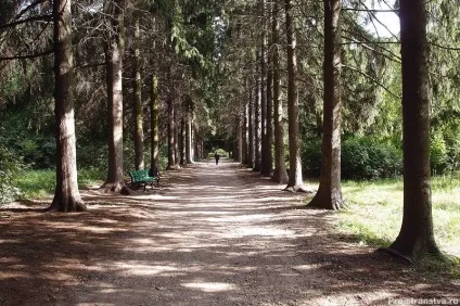 Бірюлевская дендропарк - як доїхати до парку в барелів, адреса, карта, схема (барелів) Бірюлевская дендропарк - як доїхати до парку в барелів, адреса, карта, схема