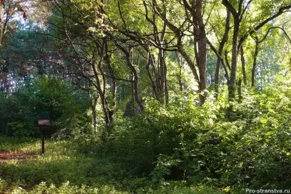 Бірюлевская дендропарк - як доїхати до парку в барелів, адреса, карта, схема (схема) Бірюлевская дендропарк - як доїхати до парку в барелів, адреса, карта, схема