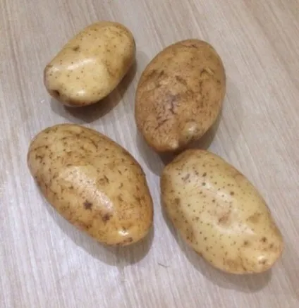 Білоруська красуня