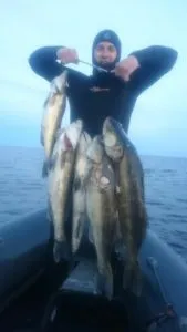 Блог олександра Уткіна