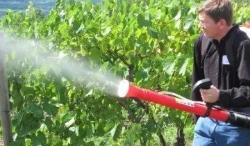 Хвороби помідорів (томатів) з фото і методи їх лікування - поради професіоналів відео (методи) Хвороби помідорів (томатів) з фото і методи їх лікування - поради професіоналів відео