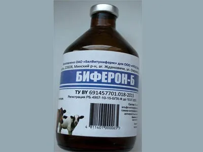 Хвороба корів шишки на тілі під шкірою, що це таке і як лікувати (шкірою) Хвороба корів шишки на тілі під шкірою, що це таке і як лікувати