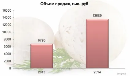 Бізнес по вирощуванню грибів - як ніколи актуальна діяльність (грибів) Бізнес по вирощуванню грибів - як ніколи актуальна діяльність