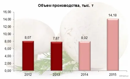 Бізнес по вирощуванню грибів - як ніколи актуальна діяльність (вирощування) Бізнес по вирощуванню грибів - як ніколи актуальна діяльність