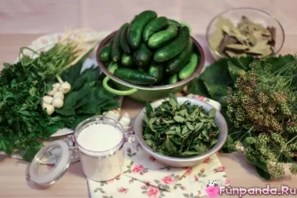 Бочкові огірки без бочки - будиночок панди (бочкові) Бочкові огірки без бочки - будиночок панди