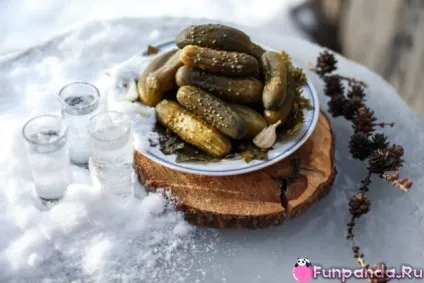 Бочкові огірки без бочки - будиночок панди (бочкові) Бочкові огірки без бочки - будиночок панди
