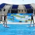 Бухта ласпі в криму фото, на карті, як дістатися, відпочинок і опис (бухта ласпі крим фото) Бухта ласпі в криму фото, на карті, як дістатися, відпочинок і опис