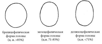 Цефаліческую індекс норма по тижнях на узі плода (індекс) Цефаліческую індекс норма по тижнях на узі плода