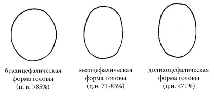 цефаліческую індекс