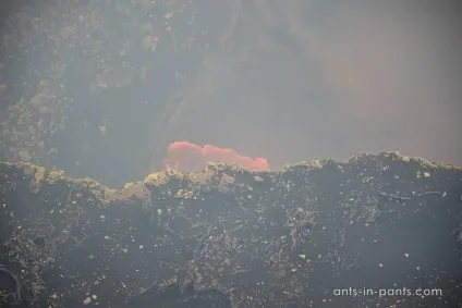Центральна америка головні враження, ants in pants (враження) Центральна америка головні враження, ants in pants