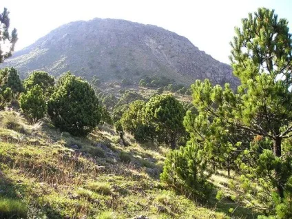 Центральна америка - географія планети земля (америка) Центральна америка - географія планети земля