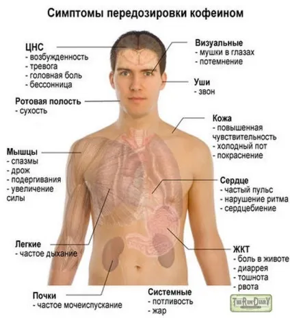 Чим нейтралізувати дію кави - інвестуй в своє здоров'я (холестерину) Чим нейтралізувати дію кави - інвестуй в своє здоров'я