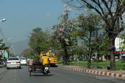 Чіанг травень (chiang mai) - столиця півночі (chiang mai) Чіанг травень (chiang mai) - столиця півночі