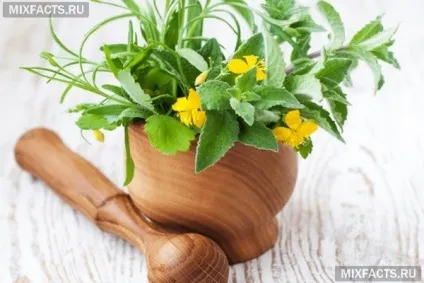 Чистотіл для обличчя від прищів (сухі стебла листя) Чистотіл для обличчя від прищів