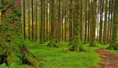Що люди найчастіше втрачають