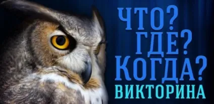 Що де коли вікторина »- серйозне випробування для мозку! (Вікторина) Що де коли вікторина »- серйозне випробування для мозку!