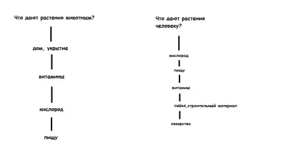Що дають рослини тваринам і людині схема 3 клас (дають) Що дають рослини тваринам і людині схема 3 клас