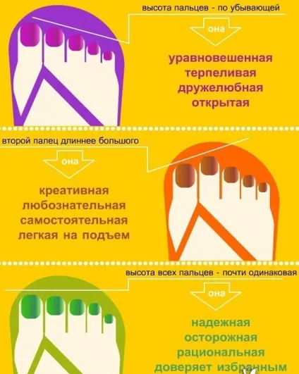 Що говорить довжина пальців про характер (говорить) Що говорить довжина пальців про характер