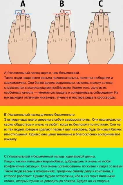 Що говорить довжина пальців про характер (цієї статті зможете) Що говорить довжина пальців про характер