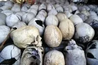 Що таке геноцид, довідка, питання-відповідь, аргументи і факти (геноцид вірмен) Що таке геноцид, довідка, питання-відповідь, аргументи і факти