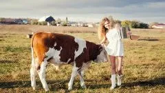 Що таке селянська продукція (що таке селянська продукція) Що таке селянська продукція