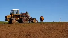 Що таке селянська продукція (що таке селянська продукція) Що таке селянська продукція