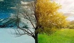 Що напружує культурист на показових виступах