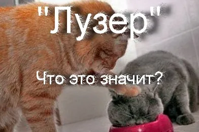 Що означає слово - лузер переклад і значення поняття (значення слово лузер) Що означає слово - лузер переклад і значення поняття