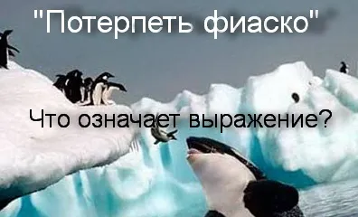 Що означає вираз - зазнати фіаско сенс фрази, що означає (вираження) Що означає вираз - зазнати фіаско сенс фрази, що означає
