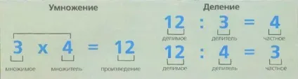 Що таке розподіл, відповіді на питання