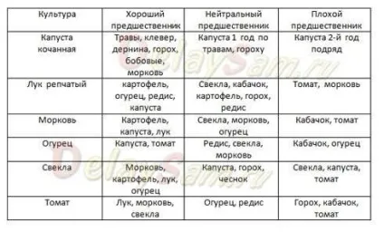 Що садити після помідор, вирости сад! (Чого можна садити) Що садити після помідор, вирости сад!