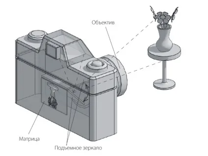 Що таке експозиція