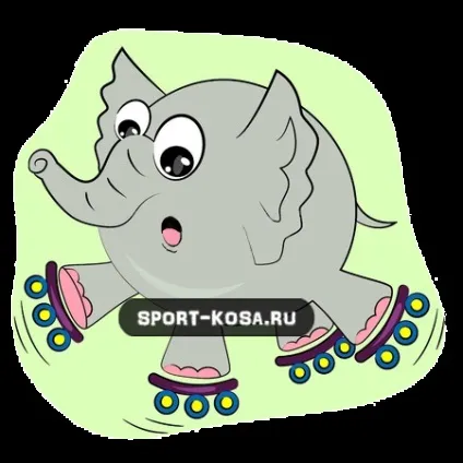 Що таке гімнастичний ролик вправи і поради (гімнастичний) Що таке гімнастичний ролик вправи і поради