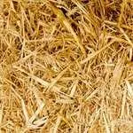 Що таке сповідь, значення слова сповідь, сповідь це, літературний словник термінів (твір) Що таке сповідь, значення слова сповідь, сповідь це, літературний словник термінів